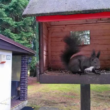 Dame Vam Pokoj - 4 Pokoje Se Sdilenou Kuchyni, Kapacita Max 9 Osob Harrachov Buitenkant foto
