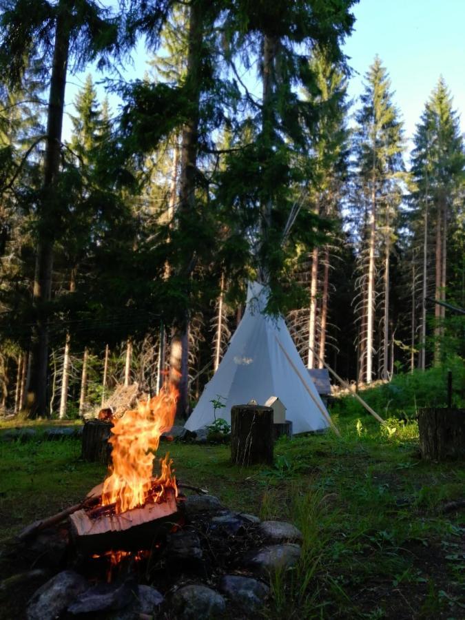 Dame Vam Pokoj - 4 Pokoje Se Sdilenou Kuchyni, Kapacita Max 9 Osob Harrachov Buitenkant foto