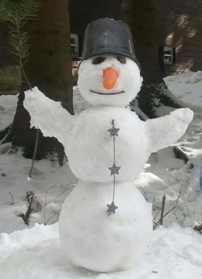 Dame Vam Pokoj - 4 Pokoje Se Sdilenou Kuchyni, Kapacita Max 9 Osob Harrachov Buitenkant foto