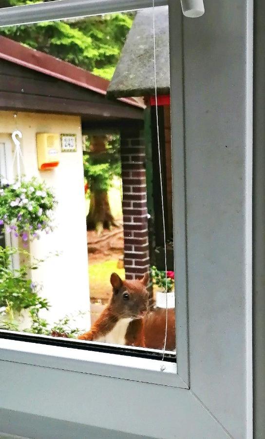 Dame Vam Pokoj - 4 Pokoje Se Sdilenou Kuchyni, Kapacita Max 9 Osob Harrachov Buitenkant foto