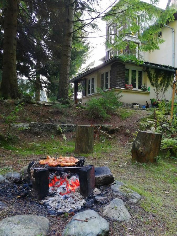 Dame Vam Pokoj - 4 Pokoje Se Sdilenou Kuchyni, Kapacita Max 9 Osob Harrachov Buitenkant foto