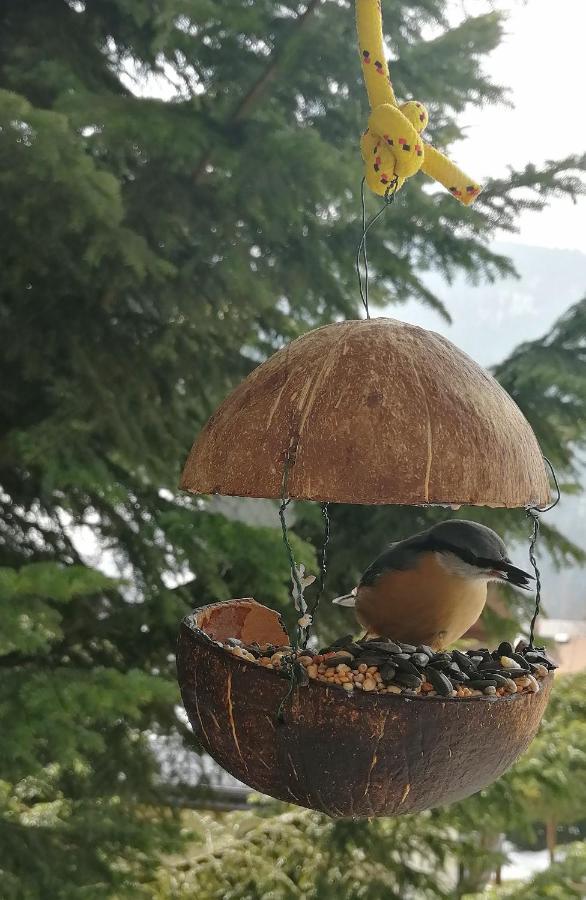 Dame Vam Pokoj - 4 Pokoje Se Sdilenou Kuchyni, Kapacita Max 9 Osob Harrachov Buitenkant foto
