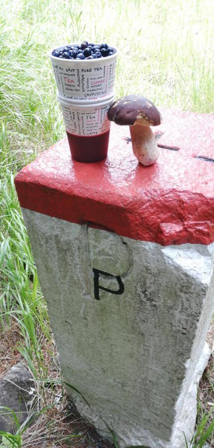 Dame Vam Pokoj - 4 Pokoje Se Sdilenou Kuchyni, Kapacita Max 9 Osob Harrachov Buitenkant foto