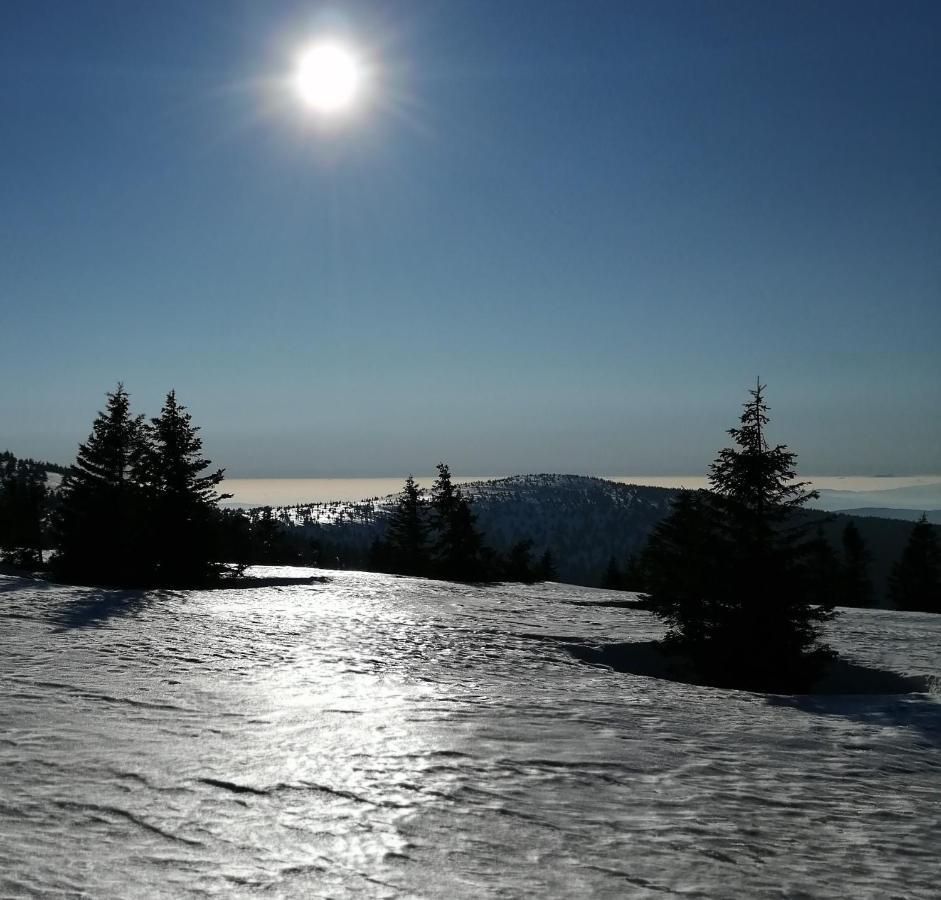 Dame Vam Pokoj - 4 Pokoje Se Sdilenou Kuchyni, Kapacita Max 9 Osob Harrachov Buitenkant foto