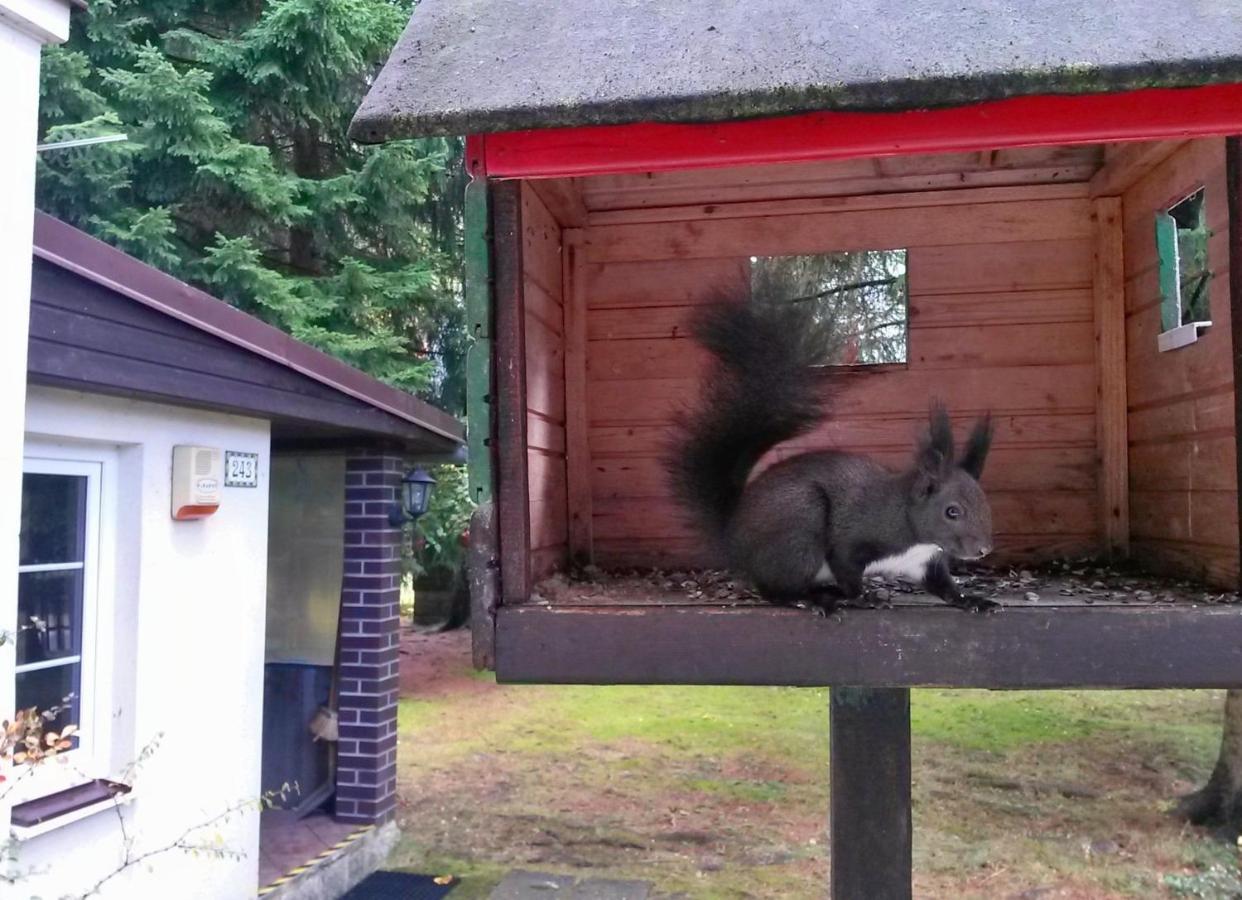 Dame Vam Pokoj - 4 Pokoje Se Sdilenou Kuchyni, Kapacita Max 9 Osob Harrachov Buitenkant foto