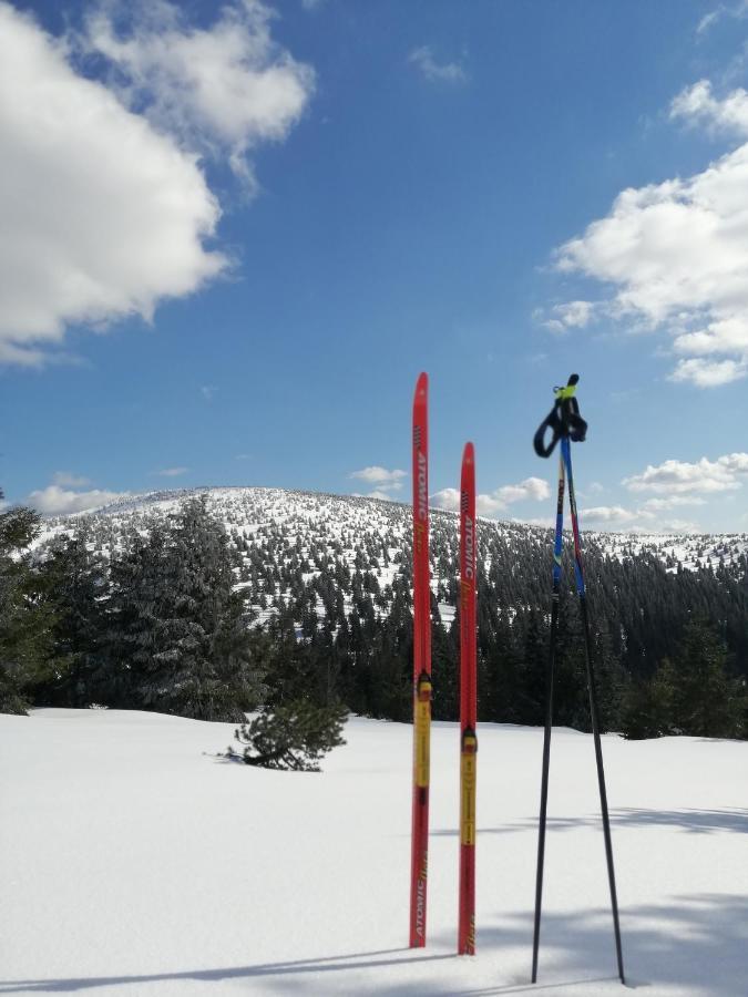 Dame Vam Pokoj - 4 Pokoje Se Sdilenou Kuchyni, Kapacita Max 9 Osob Harrachov Buitenkant foto