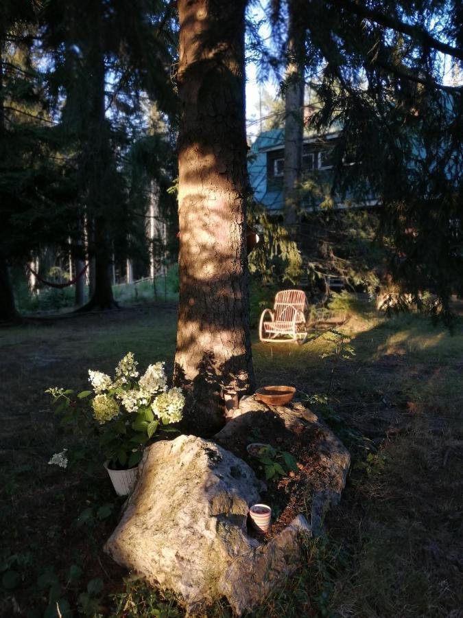 Dame Vam Pokoj - 4 Pokoje Se Sdilenou Kuchyni, Kapacita Max 9 Osob Harrachov Buitenkant foto