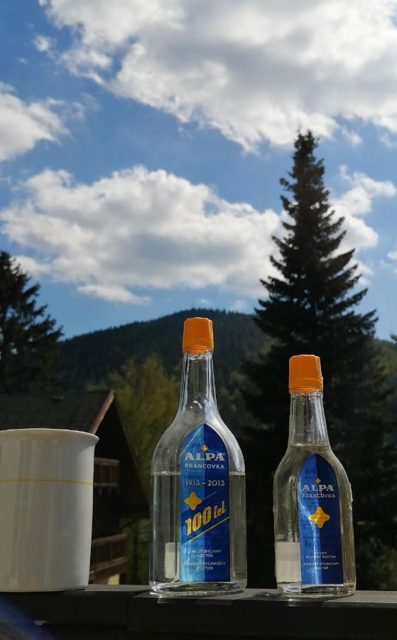 Dame Vam Pokoj - 4 Pokoje Se Sdilenou Kuchyni, Kapacita Max 9 Osob Harrachov Buitenkant foto