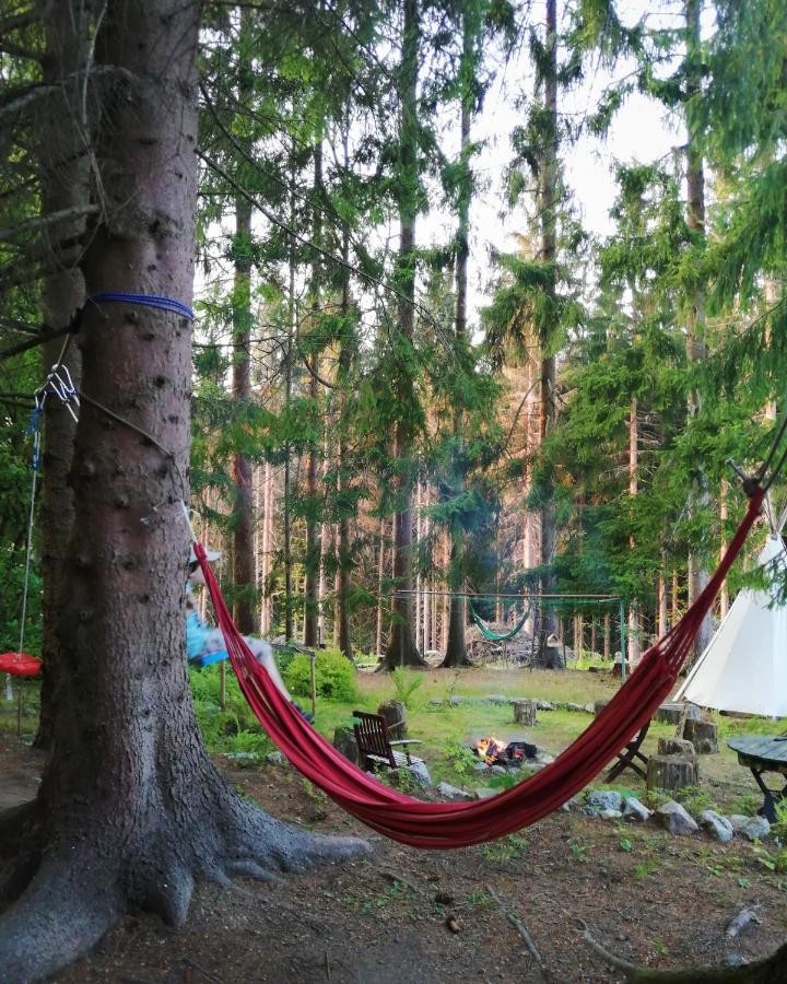 Dame Vam Pokoj - 4 Pokoje Se Sdilenou Kuchyni, Kapacita Max 9 Osob Harrachov Buitenkant foto