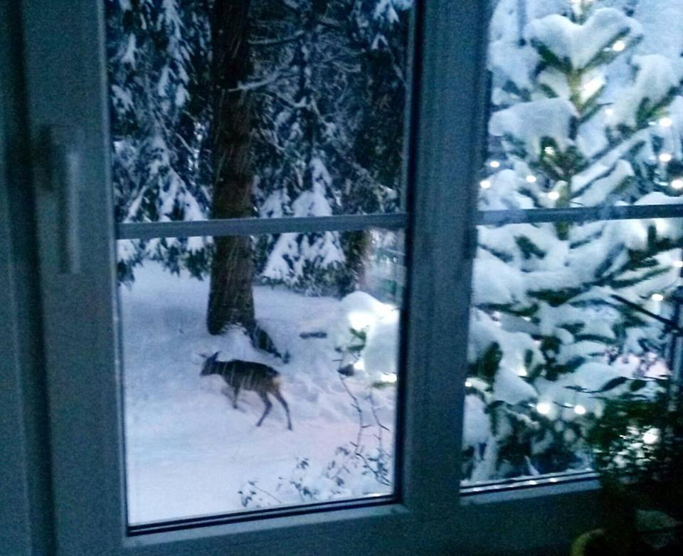 Dame Vam Pokoj - 4 Pokoje Se Sdilenou Kuchyni, Kapacita Max 9 Osob Harrachov Buitenkant foto